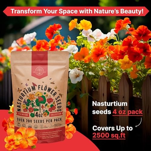 Organo Republic Nasturtium Seeds Pack 4 oz - Over 700 Non-GMO Heirloom Nasturtium Seeds for Planting, Edible Flowers in Individual Seed Packet for Planting Home Garden Indoor & Outdoor Gardening - Image 4