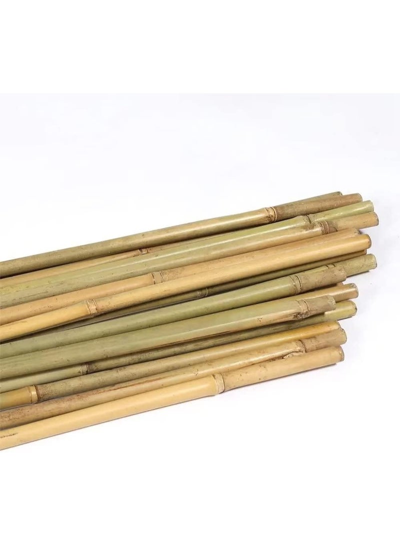 HOME TASTE دعامات نباتية طبيعية من الخيزران - 10 قطع 60 سم لدعم الحدائق للطماطم، الفاصوليا، الزهور والنباتات المتسلقة | صديقة للبيئة، دعم نباتي متين للاستخدام الداخلي والخارجي - Image 1