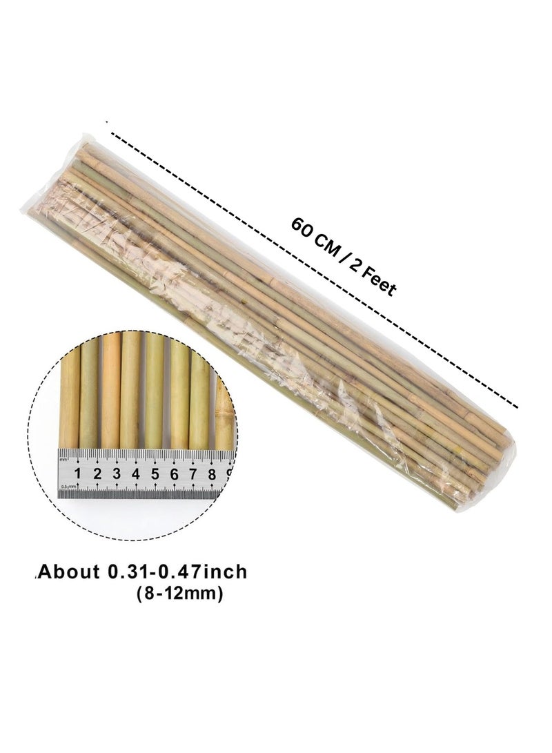 HOME TASTE دعامات نباتية طبيعية من الخيزران - 10 قطع 60 سم لدعم الحدائق للطماطم، الفاصوليا، الزهور والنباتات المتسلقة | صديقة للبيئة، دعم نباتي متين للاستخدام الداخلي والخارجي - Image 2