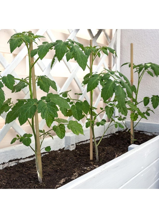 HOME TASTE دعامات نباتية طبيعية من الخيزران - 10 قطع 60 سم لدعم الحدائق للطماطم، الفاصوليا، الزهور والنباتات المتسلقة | صديقة للبيئة، دعم نباتي متين للاستخدام الداخلي والخارجي - Image 3