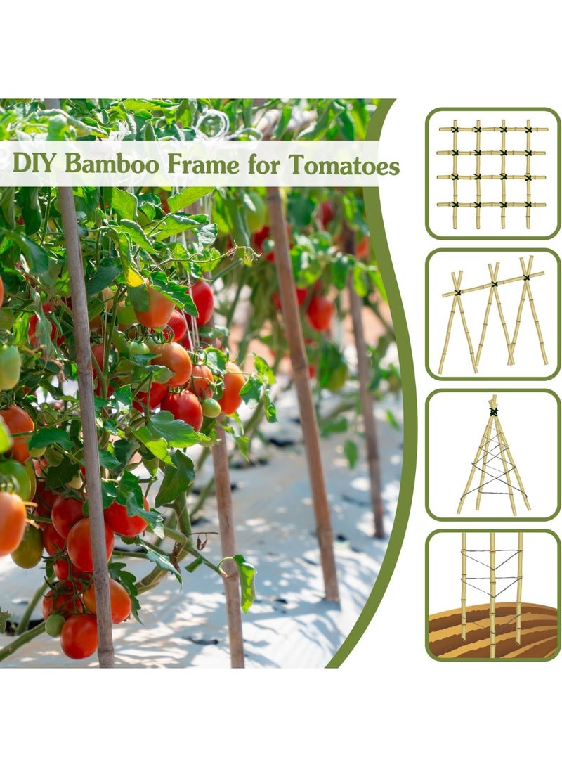 HOME TASTE دعامات نباتية طبيعية من الخيزران - 10 قطع 60 سم لدعم الحدائق للطماطم، الفاصوليا، الزهور والنباتات المتسلقة | صديقة للبيئة، دعم نباتي متين للاستخدام الداخلي والخارجي - Image 4