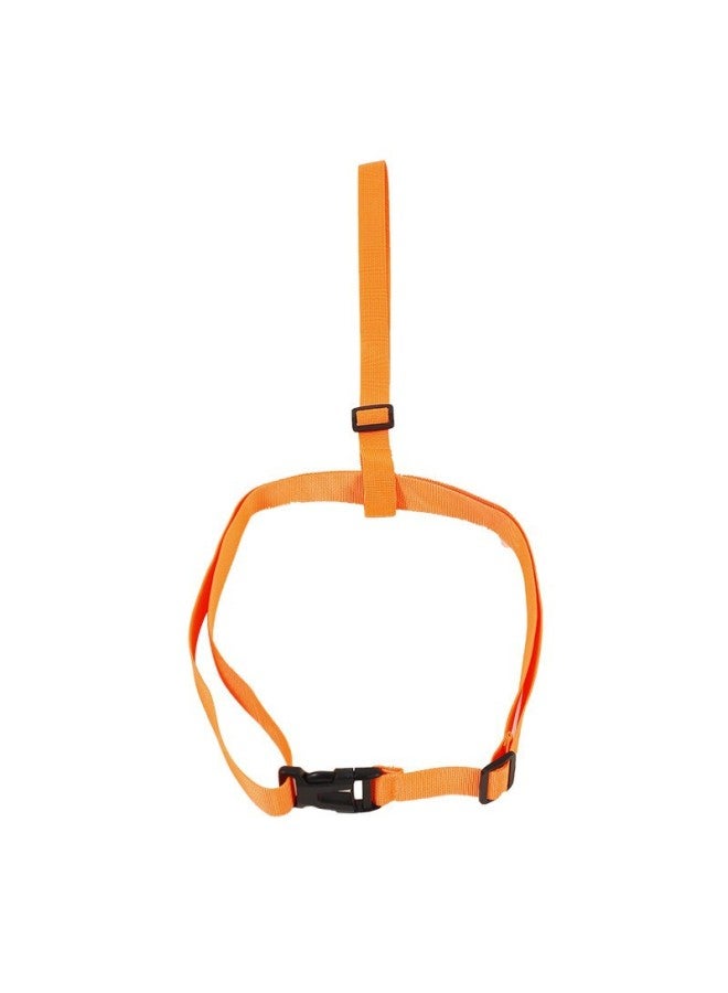 Generic Followman Can Put Mobile Phone Double Airbag Safety Thickening Adult Swimming Equipment Float Swimming Bag Anti-drowning Atmosphere-Color:Individual Belt Orange - Image 1