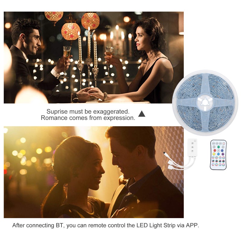 Loquat LED Strip Lights Kit - Image 2