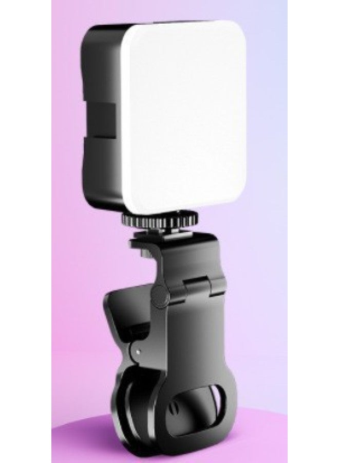 Desktop Beauty Leg Pocket Fill Light With Microphone Suit SLR Conference Light Handheld Photography With Microphone-Specifications:Bgd-11c Upgraded Model  - Image 1
