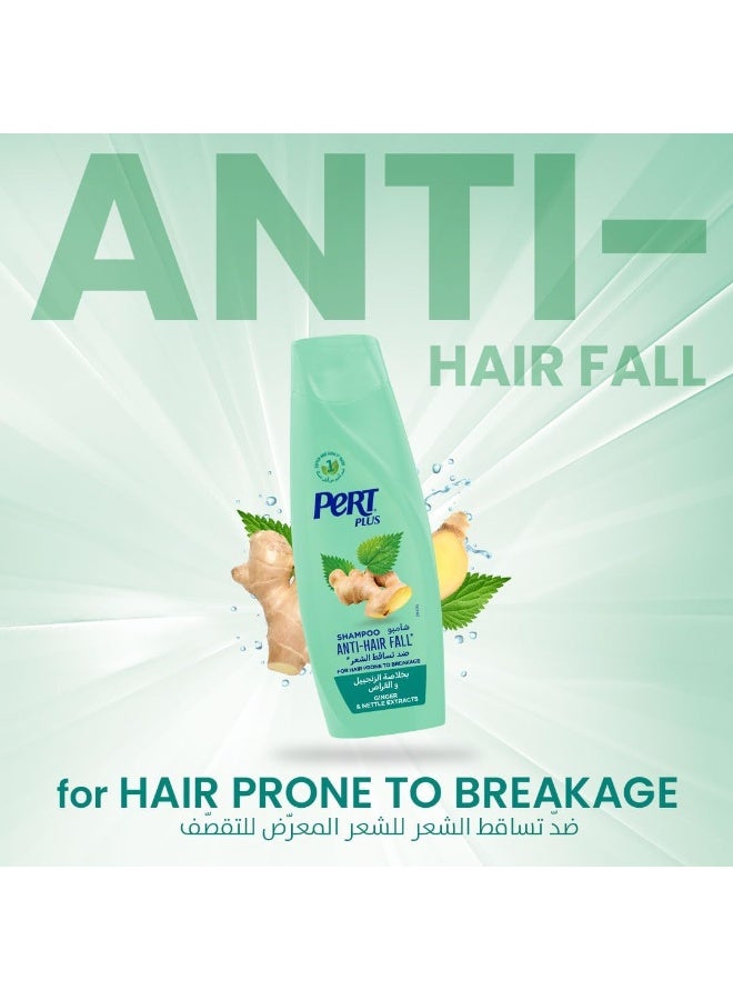 PERT PLUS Ginger And Nettle Extracts Anti Hair Fall Shampoo 600 ML - Image 3
