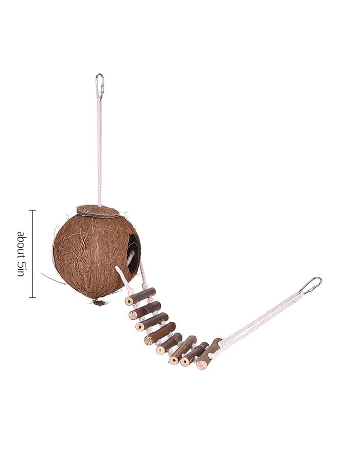 إسكدنيا منزل للطيور مصنوع من قشرة جوز الهند متعدد الألوان - Image 2