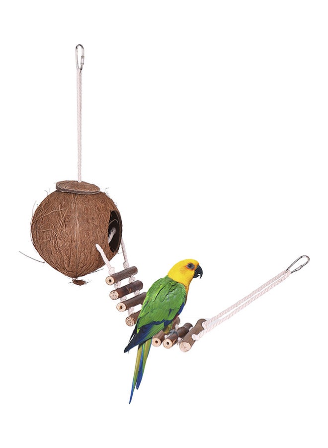 إسكدنيا منزل للطيور مصنوع من قشرة جوز الهند متعدد الألوان - Image 4