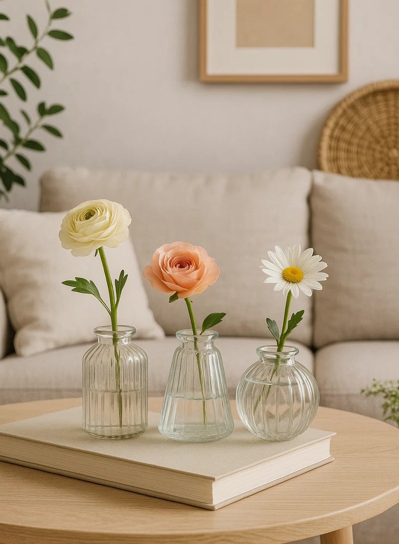 لوفت مزهريات فردية، مجموعة من 3 قطع، شفافة، زجاجية - 193749 - Image 1