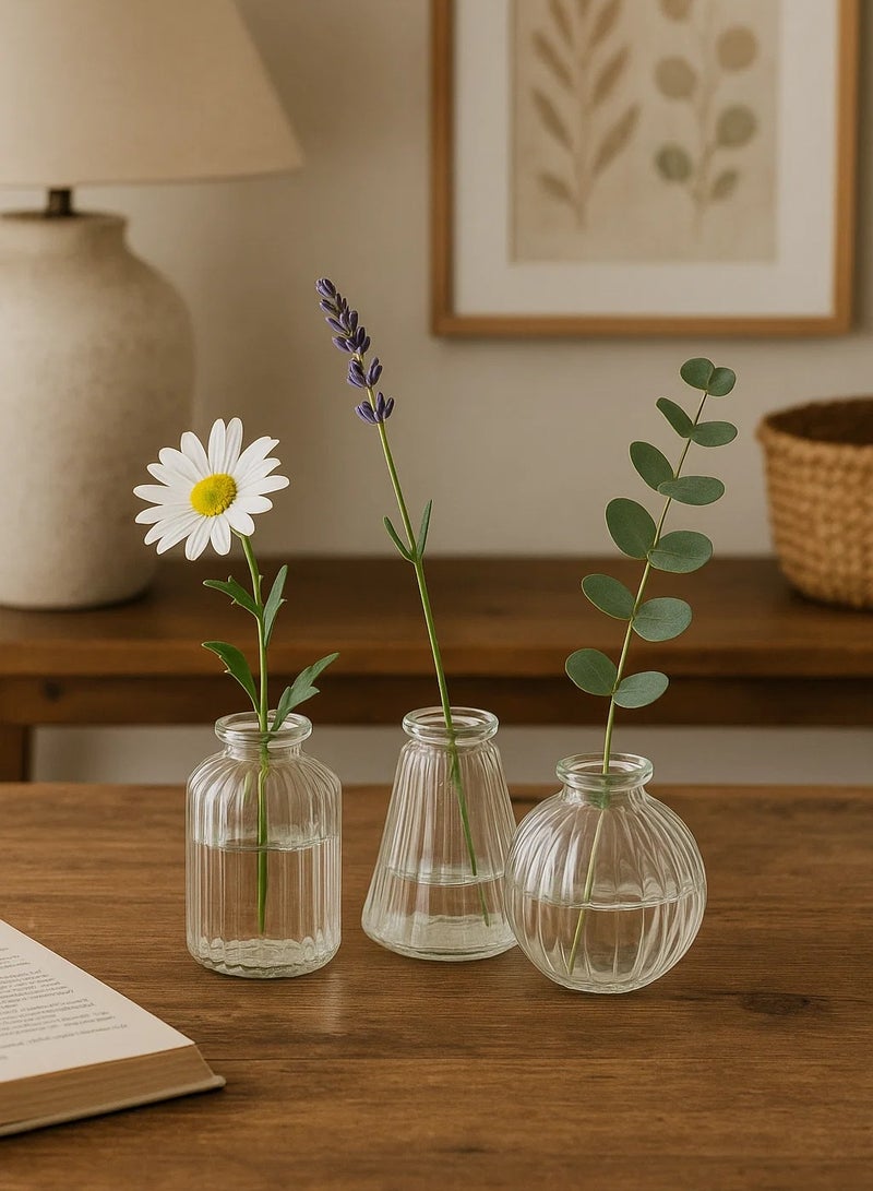 لوفت مزهريات فردية، مجموعة من 3 قطع، شفافة، زجاجية - 193749 - Image 4