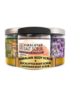 Dead Sea Collection BBundleDead Sea Collection  3 X Large 2328 OZ  Body Scrub Himalayan  Body Scrub Lavender Body Scrub Eucalyptus Natural Dead Sea Minerals 
