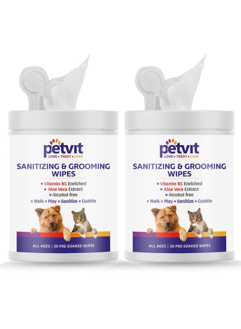 بيتفيت مناديل مبللة للكلاب كبيرة الحجم مضادة للبكتيريا للتنظيف وإزالة الروائح الكريهة مناديل مبللة مضادة للبكتيريا عبوة من 2 100 منديل - Image 1