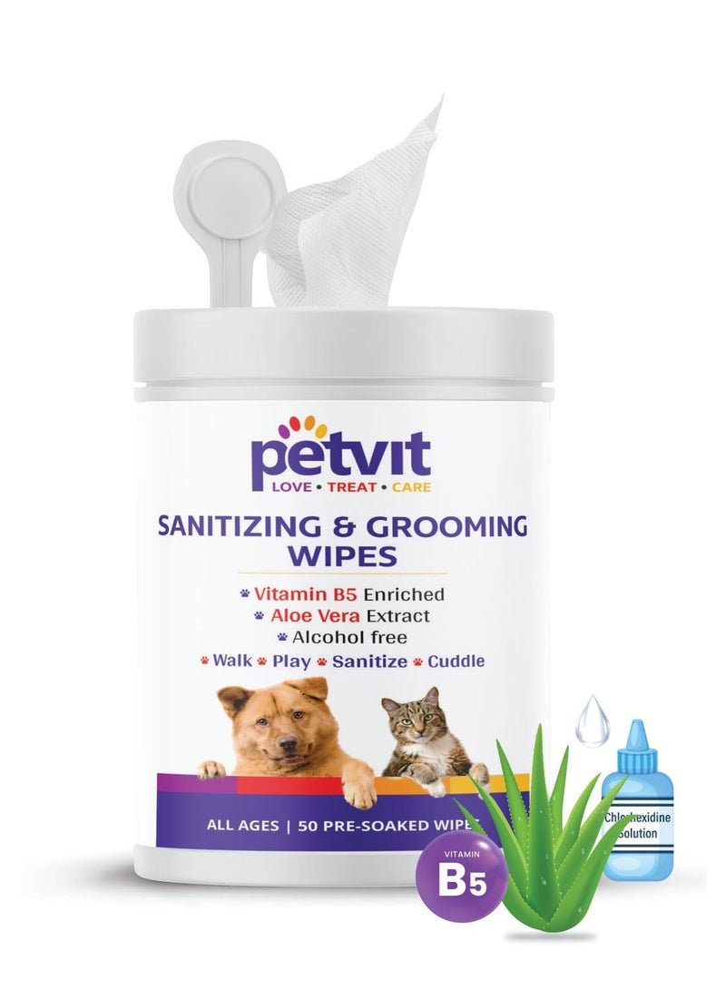 بيتفيت مناديل مبللة للكلاب كبيرة الحجم مضادة للبكتيريا للتنظيف وإزالة الروائح الكريهة مناديل مبللة مضادة للبكتيريا عبوة من 2 100 منديل - Image 2