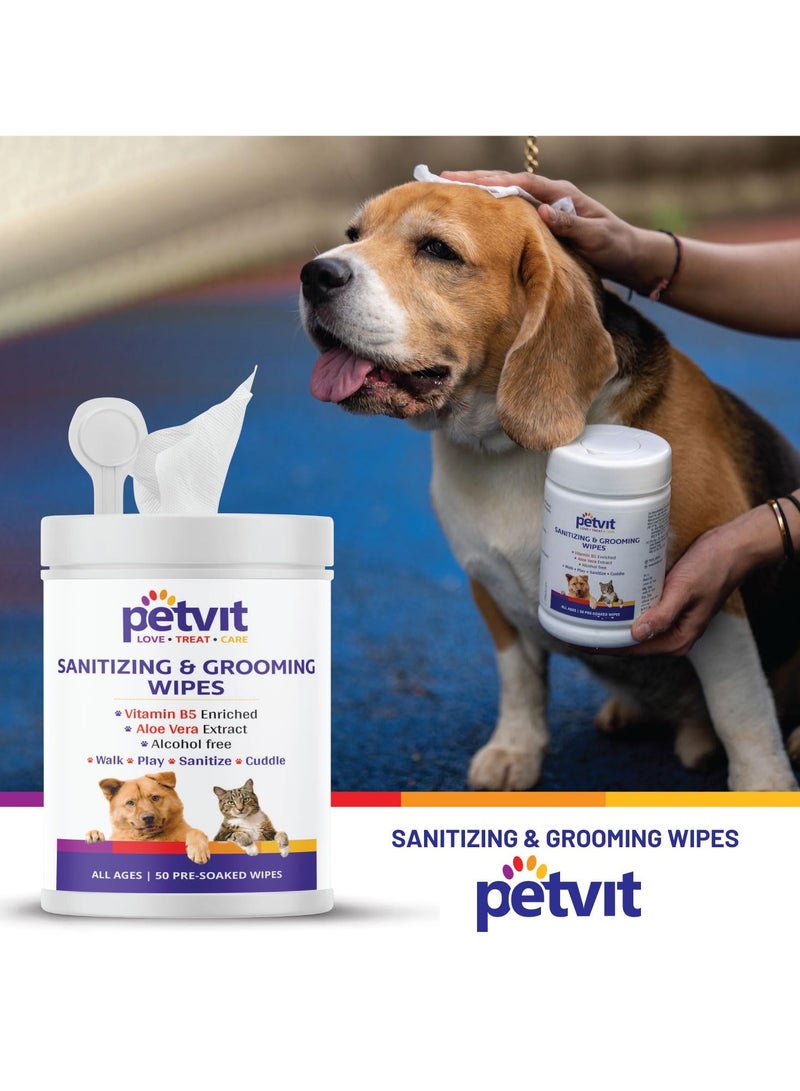 بيتفيت مناديل مبللة للكلاب كبيرة الحجم مضادة للبكتيريا للتنظيف وإزالة الروائح الكريهة مناديل مبللة مضادة للبكتيريا عبوة من 2 100 منديل - Image 3