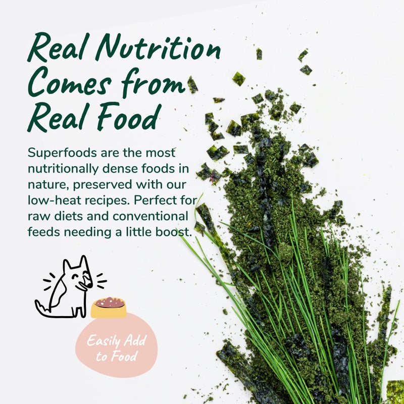 kin+kind Organic Multivitamin for Dogs&Cats - Vitamins and Supplements for Healthy Skin+Coat - Natural Formula with Wheatgrass, Kelp, Flax Seed, Seaweed and Coconut - Small 4 oz - Made in USA - Image 5
