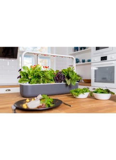 CLICK AND GROW 13W Indoor Smart Garden 9 Grey and White 4 L SG9S8INT  - Image 5