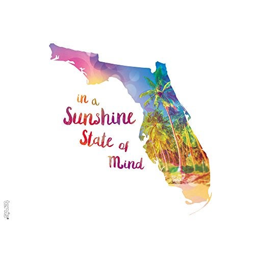 Tervis 1216835 Florida - Sunshine State Of Mind Insulated Tumbler with Wrap and Turquoise Lid, 24oz, Clear - Image 2