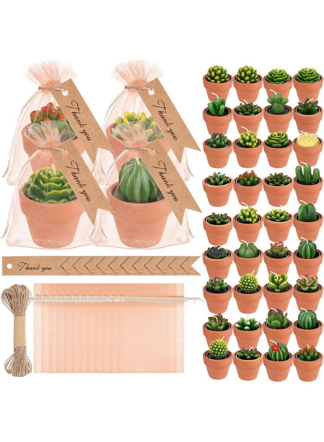 Mtlee MTLEE 48 Pcs Succulent Cactus Candles Set Mini Tealight Candles Baby Shower Cactus Plant Decorations with Mini Terracotta Clay Gift Tags Organza Bags for Birthday Wedding Party Favors  - Image 1
