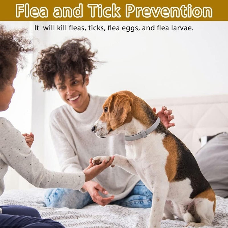 Flea & Tick Collar for Dogs , Waterproof and Adjustable, Natural Formula, Safe and Eco-Friendly, Lightweight Collar for Dogs and Puppies, Flea Collar for Dogs,Light green,62cm - Image 5