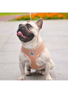 BINGPET Soft Mesh Breathable Pet Vest Harnesses, No Pull & No Choke Dog Harness, Lightweight Adjustable Vest Harness for Small and Medium Dogs  - Image 2