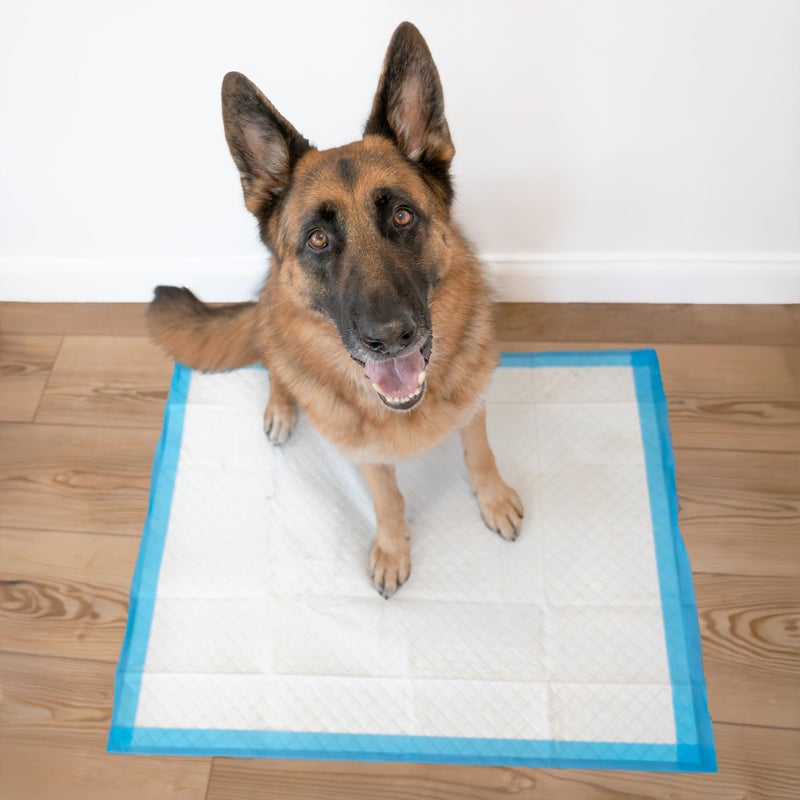 Four Paws Wee-Wee Superior Performance Unscented Extra-Large Pee Pads for Dogs & Puppies, Quilted Leak-Proof Dog Housebreaking Potty Training Floor Protection, 28" x 34", 40 Count - Image 5