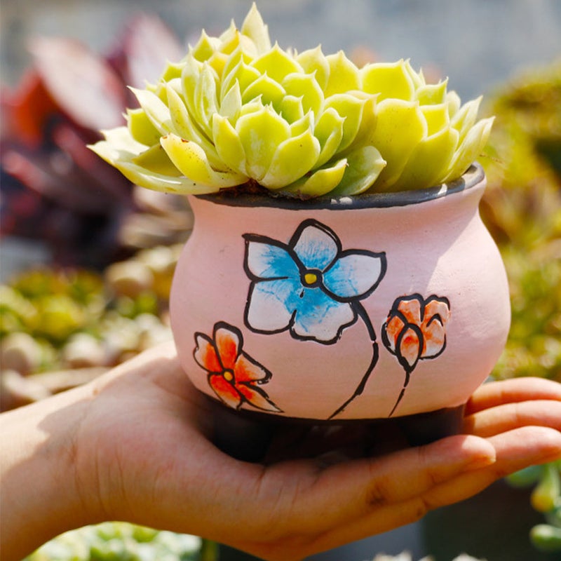 6Pcs Hand-painted Flowerpot Green Plants Flowerpot Gardening Supply - Image 5