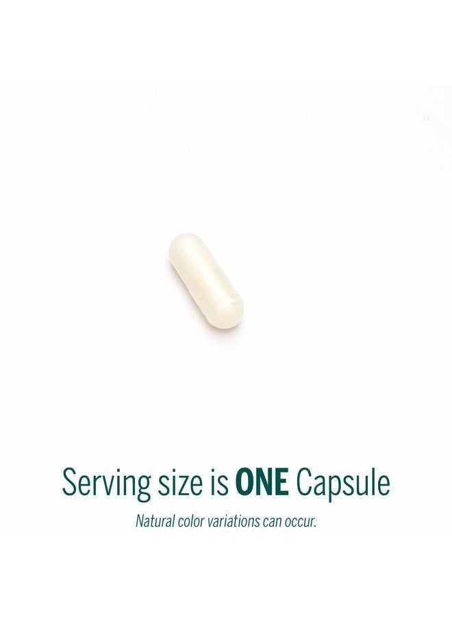 Genestra - Allisyn | Garlic and Cinnamon Herbal Supplement | 60 Capsules - Image 1