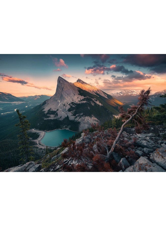 Ravensburger Wild Nature 1000P Puzzle - Image 1