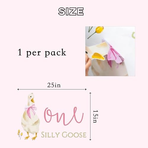 Capiont Caption One Silly Goose Decal - Goose Theme 1st Birthday Decoration for Girls, Pink Bow Goose Birthday Party Supplies, First Birthday Party Balloon Arch Decal - Image 2