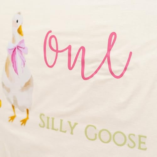 Capiont Caption One Silly Goose Decal - Goose Theme 1st Birthday Decoration for Girls, Pink Bow Goose Birthday Party Supplies, First Birthday Party Balloon Arch Decal - Image 3