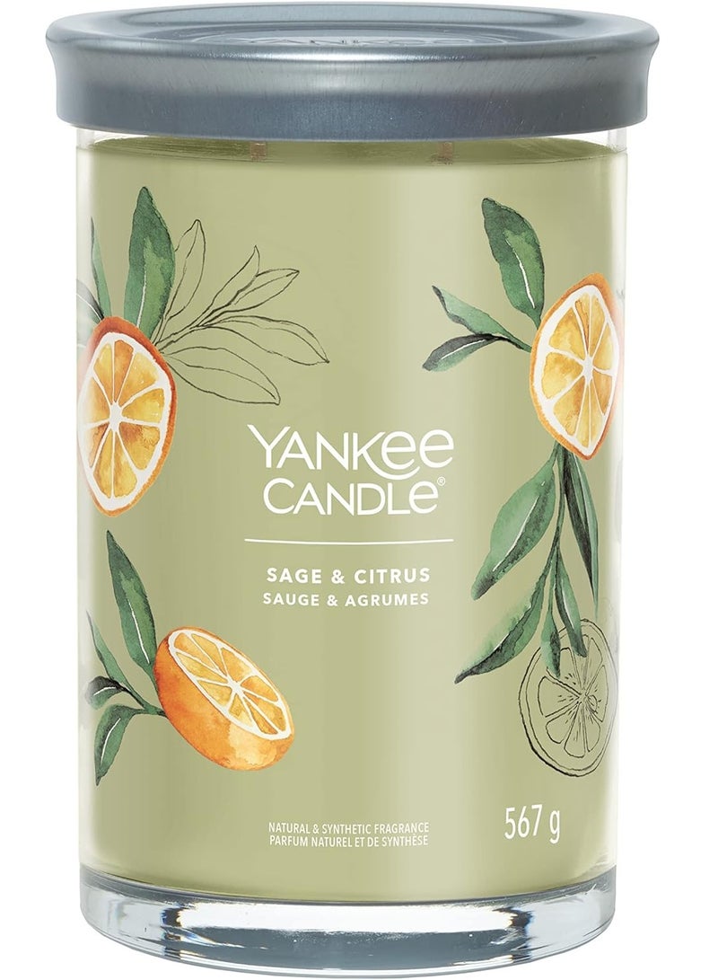 YANKEE CANDLE Sage & Citrus Natural & Synthetic Fragrance 567 G - Image 1