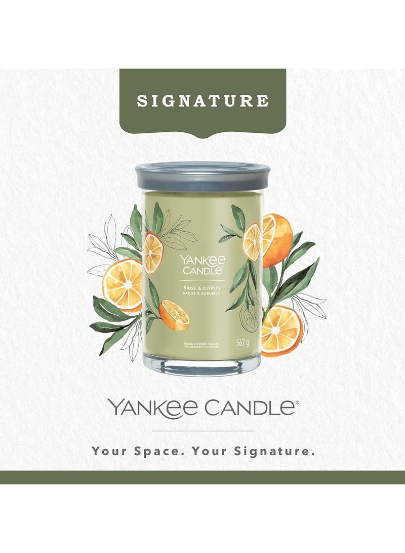 YANKEE CANDLE Sage & Citrus Natural & Synthetic Fragrance 567 G - Image 2
