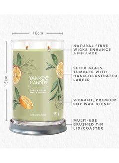 YANKEE CANDLE Sage & Citrus Natural & Synthetic Fragrance 567 G  - Image 4