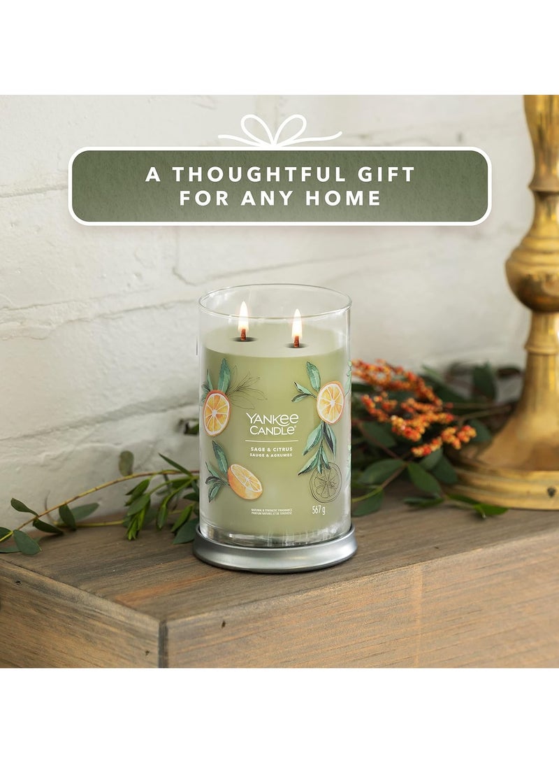 YANKEE CANDLE Sage & Citrus Natural & Synthetic Fragrance 567 G - Image 5