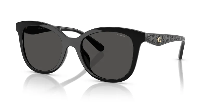 COACH Coach Woman Injected Sunglasses