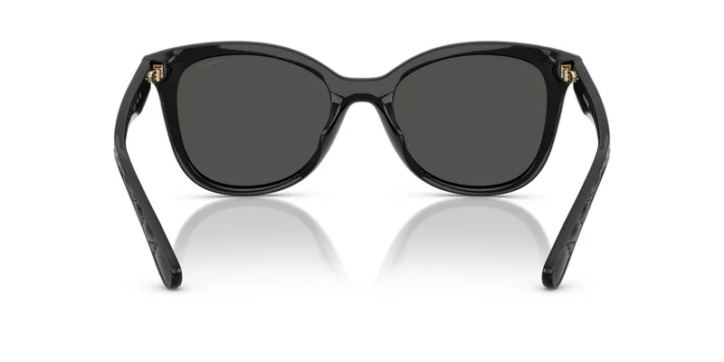 COACH Coach Woman Injected Sunglasses