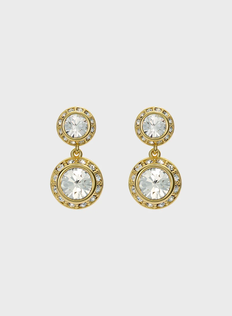Crystal Detail Drop  Earrings