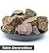Crocon 1LB Fruit Jasper Rough Bulk Natural Stone Raw Gemstone Tumbling Cabbing Polishing Gem Mining Chakra Balancing Reiki Healing Good Luck Home Office Decor - Image 4