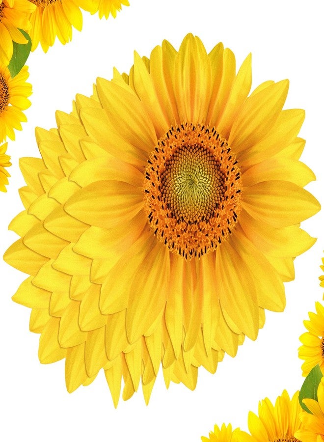 Teling 50 Packs Sunflower Paper Disposable Placemats 13 Inch Sunflower Summer Table Placemats for Bridal Baby Shower Birthday Party Supplies Decorations - Image 1