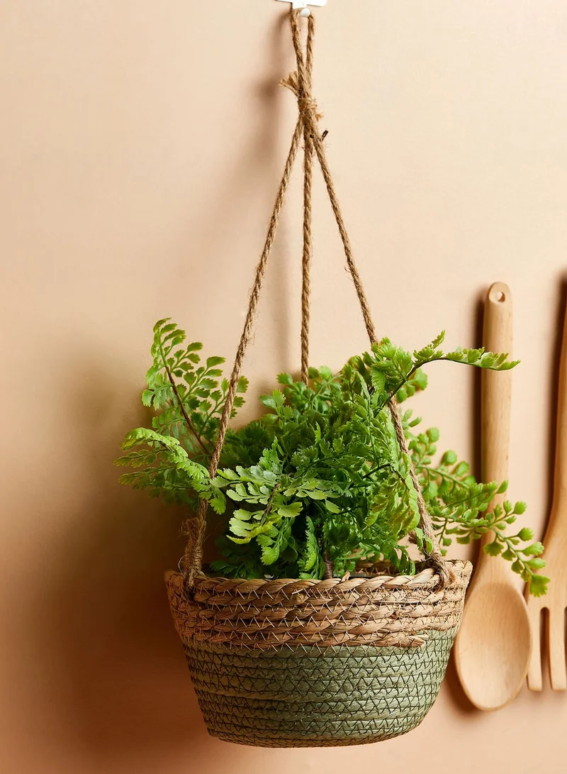 AURORA Hanging Planter