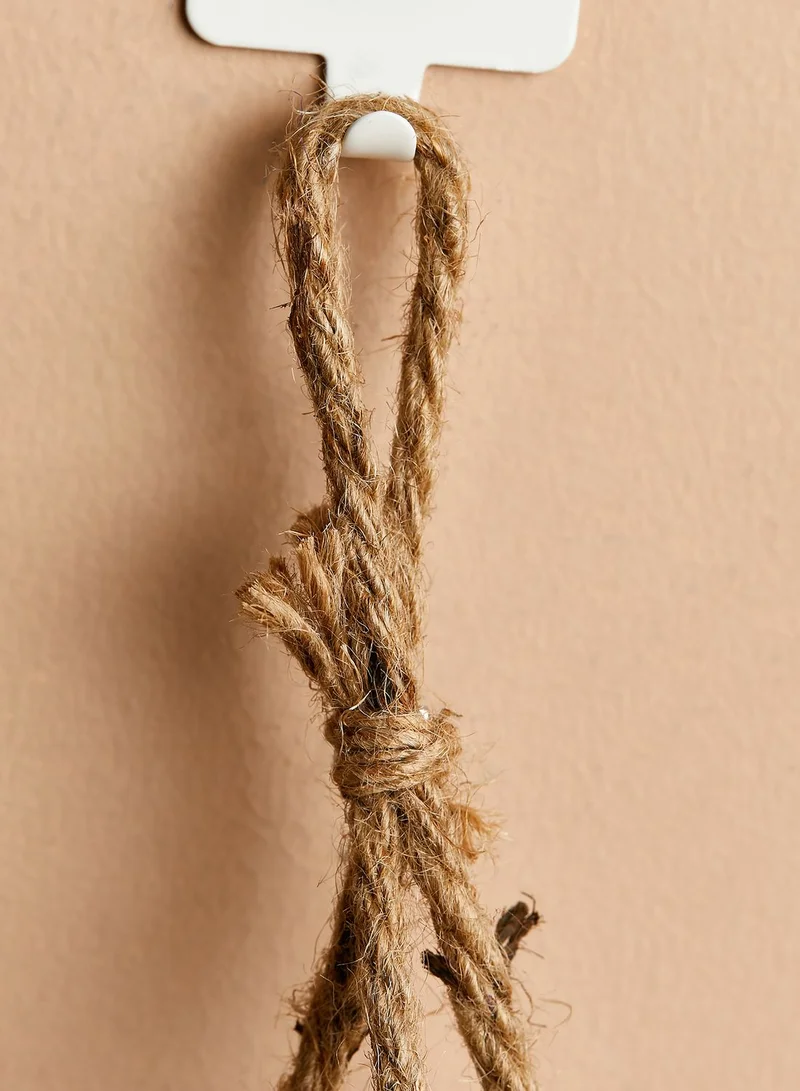AURORA Hanging Planter