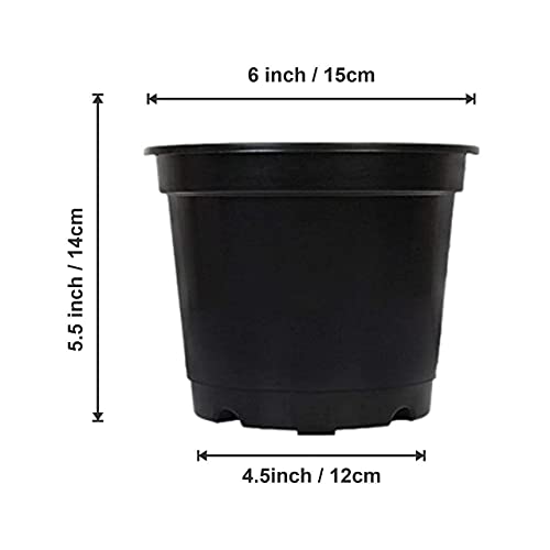 Leafy Tales UV Plastic Round Pots for Plants (6 Inches, Black, Pack of 20) | Lightweight Indoor Outdoor Garden & Balcony Planters - Image 3