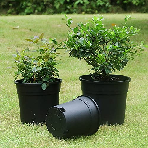 Leafy Tales UV Plastic Round Pots for Plants (6 Inches, Black, Pack of 20) | Lightweight Indoor Outdoor Garden & Balcony Planters - Image 5
