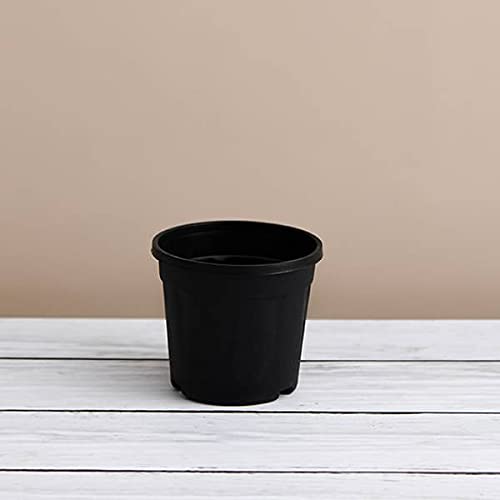 Leafy Tales UV Plastic Round Pots for Plants (6 Inches, Black, Pack of 20) | Lightweight Indoor Outdoor Garden & Balcony Planters - Image 4