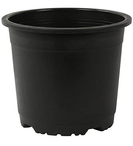 Leafy Tales UV Plastic Round Pots for Plants (6 Inches, Black, Pack of 20) | Lightweight Indoor Outdoor Garden & Balcony Planters - Image 2