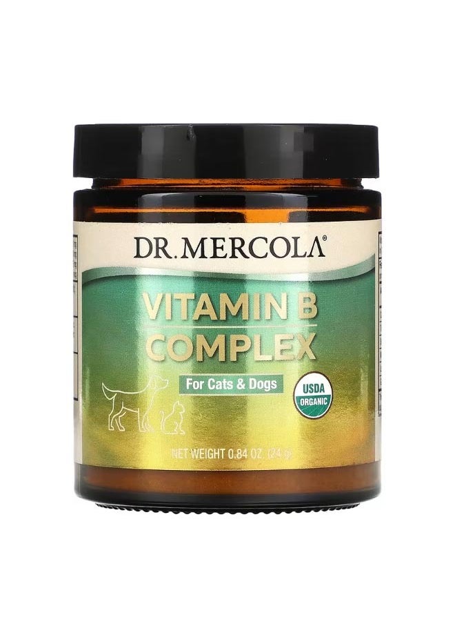 Dr. Mercola Vitamin B Complex For Cats and Dogs 0.84 oz 24 g  - Image 1