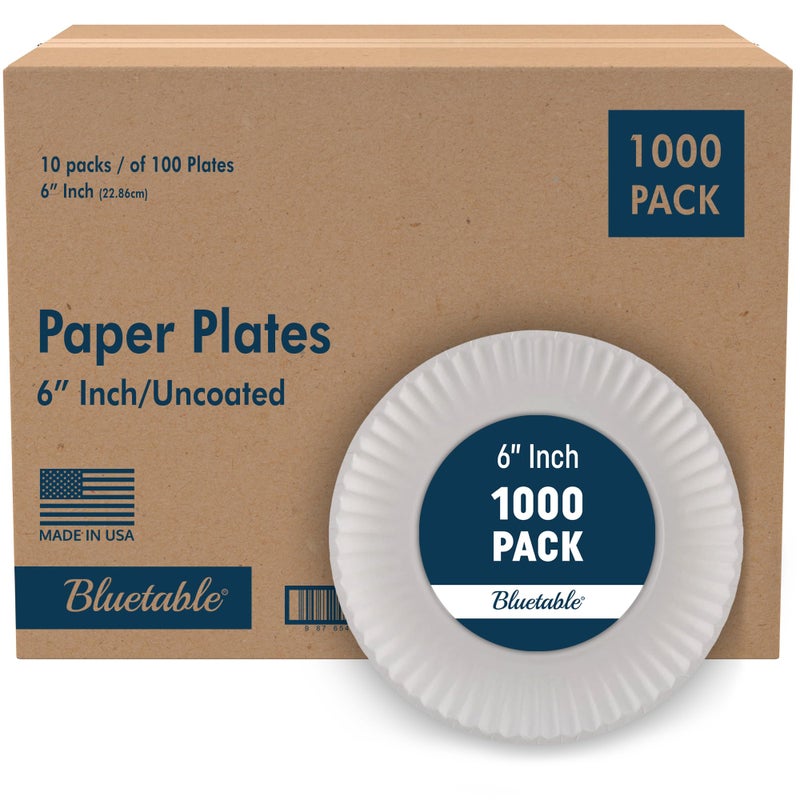 Bluetable 6 Inch Paper Plates Bulk  1000 Count  Uncoated White 6 Dinner Plate Small Dessert Plate Decorative Craft Paper Plates Disposable Plates 1000 PackCase