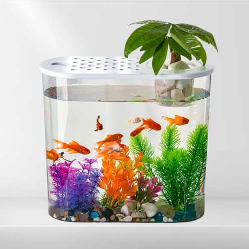 Premier Plants Fashion Hydroponic Aquarium Fish Tank with Plant Pot, LED Light, Filter Pump Mini Aquarium Fish for Small Fishes, Shrimps, Turtle, Betta etc. for Home and Office (BL-09) Random Color