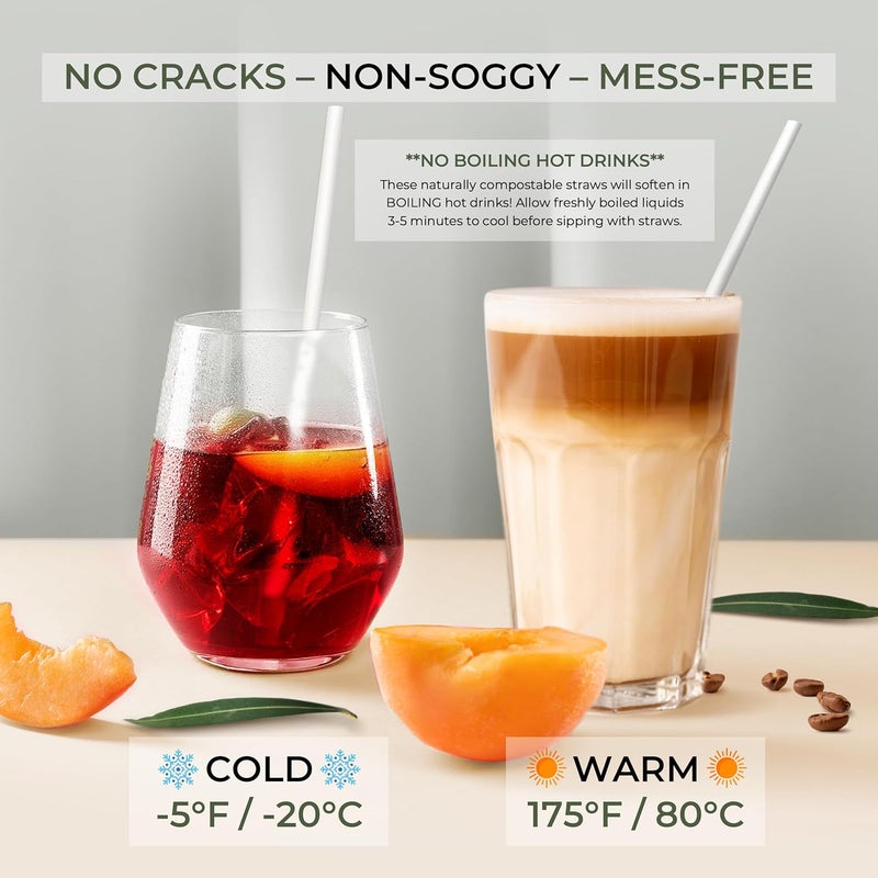 EcoPreps Biodegradable Bamboo Fiber Straws | 150 Count, 100% Compostable, Plastic-Free, Eco-Friendly Drinking Straw | 7.8'' Plant Fiber Disposable Straws, White Straw | Durable for Warm & Cold Drinks - Image 3