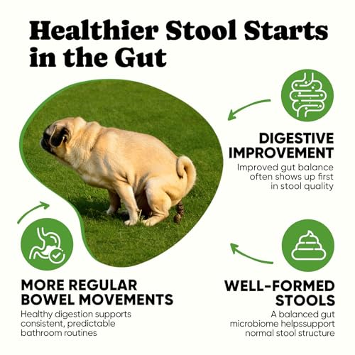 BuddyCheer Probiotics for Dogs – Helps Digestion, Loose Stools, Gas & Sensitive Stomachs, Probiotics for Itchy Skin & Dog Yeast Infection, Immune & Fresher Breath with 4 Prebiotics & 5 Digestive Enzymes – 180 ct - Image 3