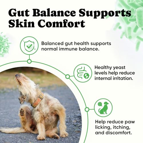 BuddyCheer Probiotics for Dogs – Helps Digestion, Loose Stools, Gas & Sensitive Stomachs, Probiotics for Itchy Skin & Dog Yeast Infection, Immune & Fresher Breath with 4 Prebiotics & 5 Digestive Enzymes – 180 ct - Image 4